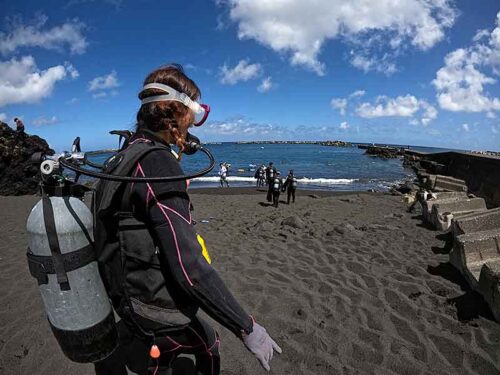 うねりはあるが底土の海へ行きまして