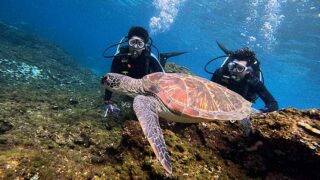 概ね晴れてた八丈島、うねりはあるが底土で【体験ダイビング】