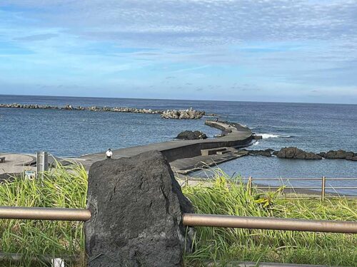 午後の底土