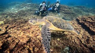 少し風吹く八丈島、落ち着いていた底土で【体験ダイビング】