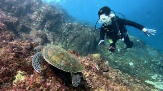 青空見えてた八丈島、うねりはあるが八重根で【体験ダイビング】