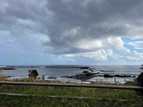 朝の底土