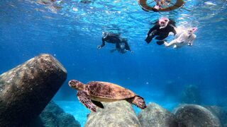 風は弱めで青空広がる八丈島、うねりはあるが底土で【シュノーケリング】