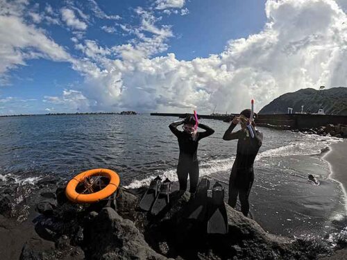 うねりはあるが底土の海へ行きまして