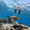 青空広がる八丈島、うねりはあるが底土で【シュノーケリング】