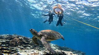 青空広がる八丈島、うねりはあるが底土で【シュノーケリング】