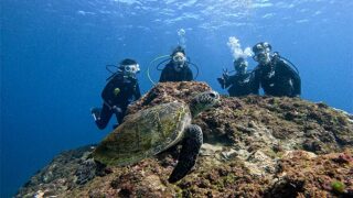 風強めな八丈島、落ち着いていた八重根で【体験ダイビング】