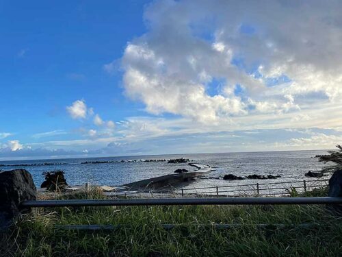 朝の底土