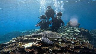 暑さも感じる八丈島、うねりはあるが底土で【体験ダイビング】