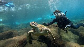 風は強めな八丈島、うねりはあるが八重根で【体験ダイビング】