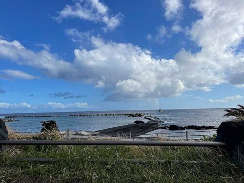 朝の底土