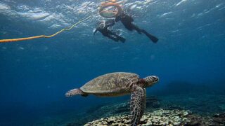 雲は広がる八丈島、水面パシャついてきていた底土で【シュノーケリング】