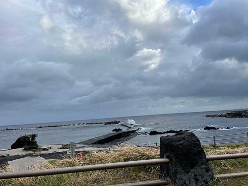 朝の底土