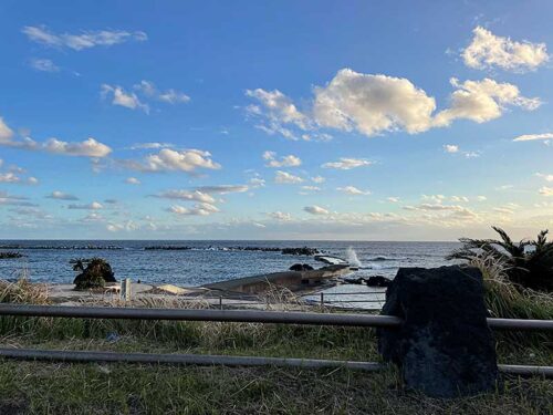 朝の底土