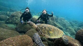 風は強まる八丈島、落ち着いていた八重根で【体験ダイビング】