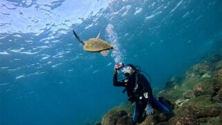 青空広がる八丈島、少しうねりはあるが八重根で【体験ダイビング】