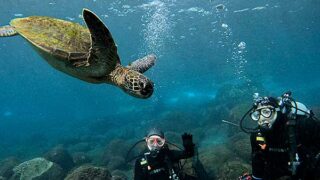 青空広がる八丈島、うねりはあるが八重根で【体験ダイビング】