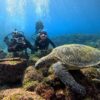 寒さは続く八丈島、若干うねりはあるが八重根で【体験ダイビング】