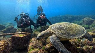 寒さは続く八丈島、若干うねりはあるが八重根で【体験ダイビング】