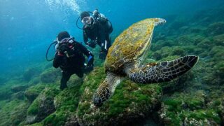 雲は広がる八丈島、うねりはあるが八重根で【体験ダイビング】