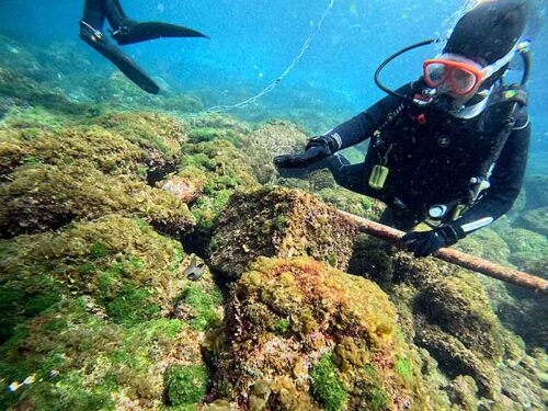 魚も見ながらゆっくり海に慣れていき