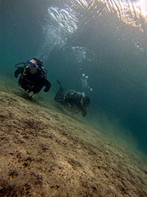 穏やかな神湊の海へ行きまして