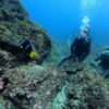 日差しは強い八丈島、うねりはあるが八重根で【ダイビング】