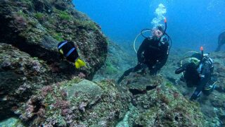 日差しは強い八丈島、うねりはあるが八重根で【ダイビング】