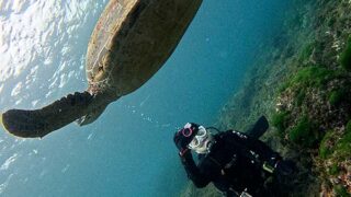 空は明るい八丈島、うねりはあるが底土と八重根で【体験ダイビング】