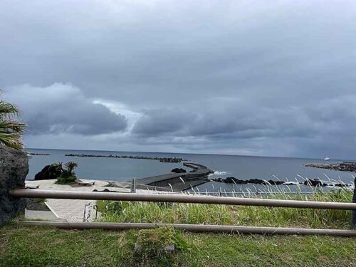 朝の底土