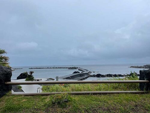 朝の底土