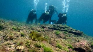 グズつく天気な八丈島、落ち着いていた底土で【体験ダイビング】