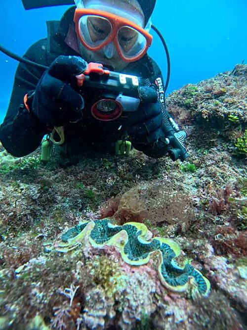 シャコガイ撮ったり