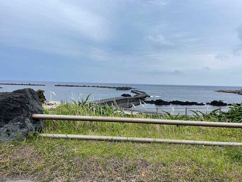 朝の底土