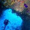 風は弱まる八丈島、概ね落ち着いていた神湊と底土で【ダイビング】