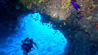 風は弱まる八丈島、概ね落ち着いていた神湊と底土で【ダイビング】