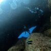 グズつく天気の八丈島、八重根とナズマドで【ダイビング】