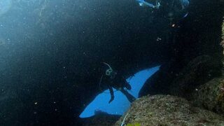 グズつく天気の八丈島、八重根とナズマドで【ダイビング】