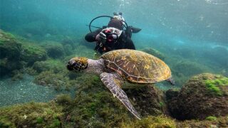 雲は広がる八丈島、うねりはあるが八重根で【体験ダイビング】