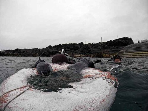 浮き輪に掴まり色々練習していって