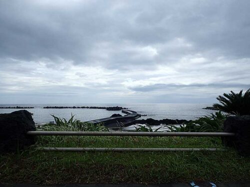 朝の底土