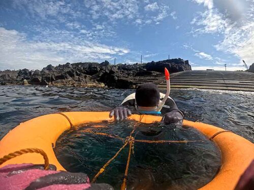 浮き輪に掴まりゆっくり海に慣れていき
