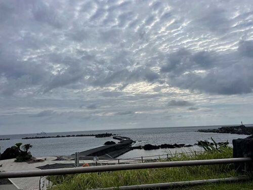朝の底土