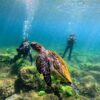 青空広がる八丈島、とっても穏やかな八重根で【体験ダイビング】