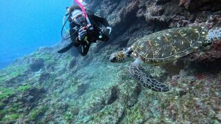 少し雲ある八丈島、若干うねりはあるが八重根で【体験ダイビング】