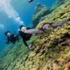 グズつく天気な八丈島、穏やかな底土で【体験ダイビング】