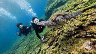 グズつく天気な八丈島、穏やかな底土で【体験ダイビング】
