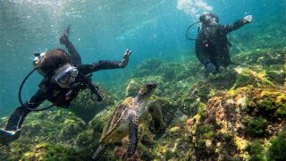 青空広がる八丈島、少しうねりはあるが八重根で【体験ダイビング】