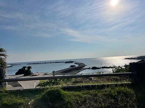 朝の底土
