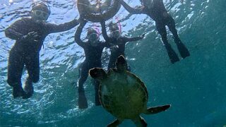 青空続く八丈島、概ね落ち着いていた八重根で【シュノーケリング】